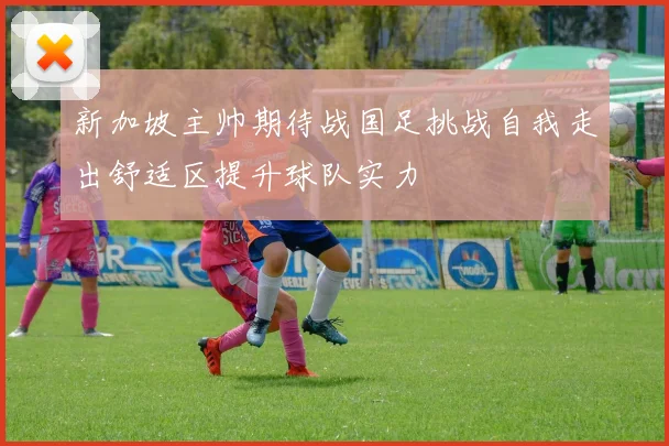 新加坡主帅期待战国足挑战自我走出舒适区提升球队实力